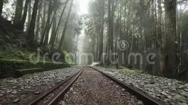 沿着阿里山风景区森林中被忽视的老铁路走着雾、雾和雾。 台湾的视角